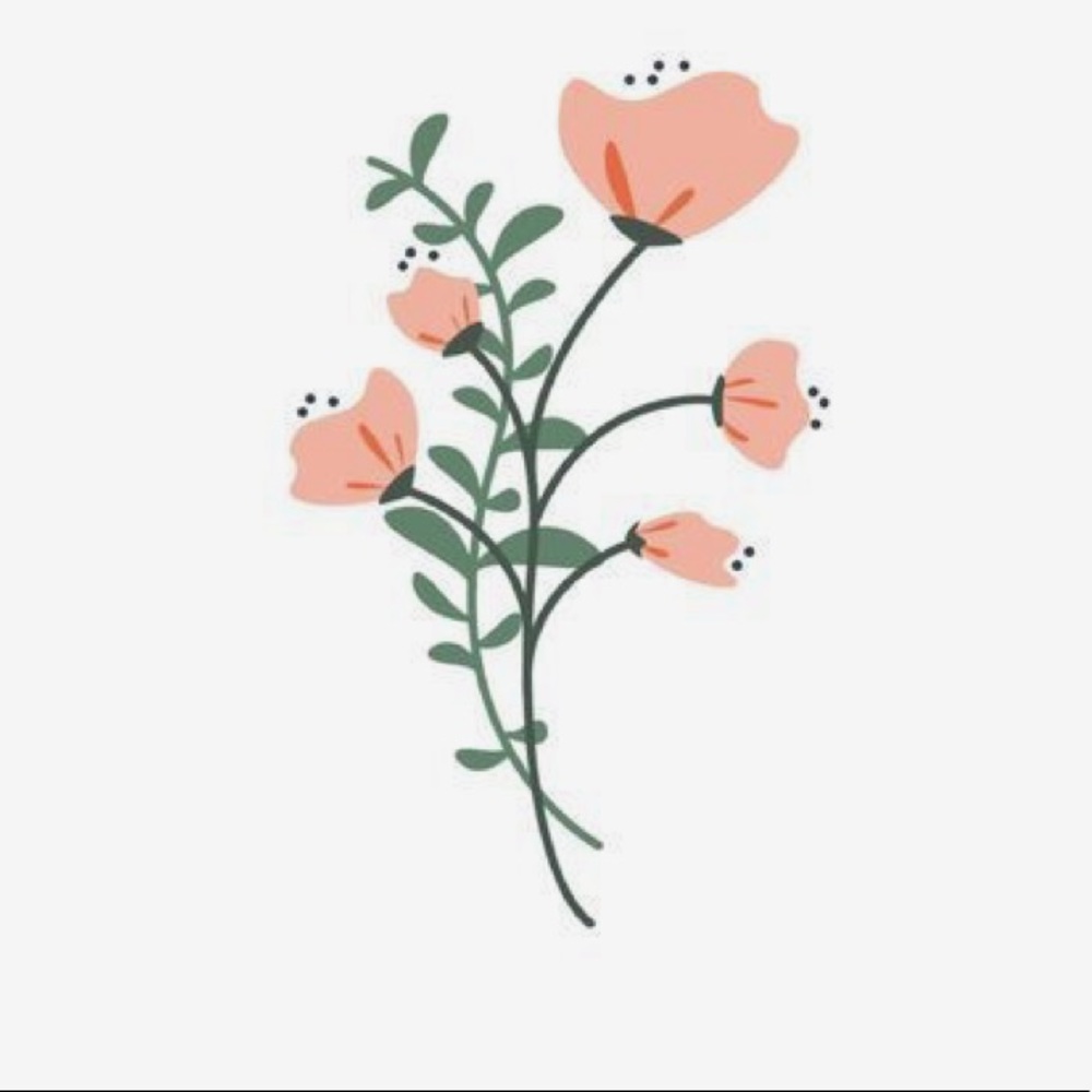 Meet your Posher, Caitlyn